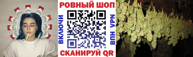 ГАШИШ Чаплыгин