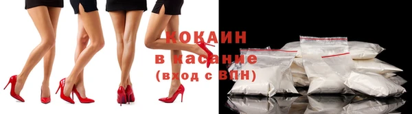 молекула духа Бронницы