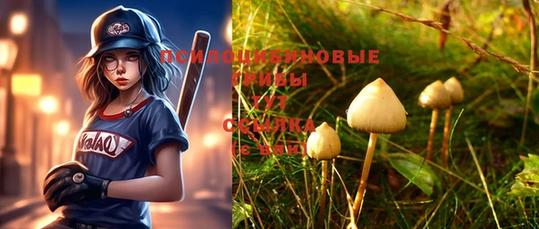 молекула духа Бронницы